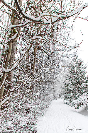 Winter 2019-5961