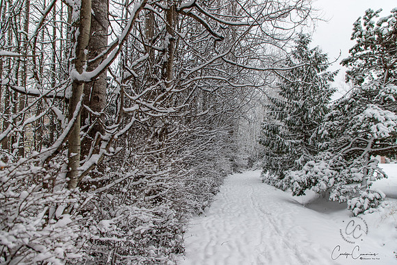 Winter 2019-5960