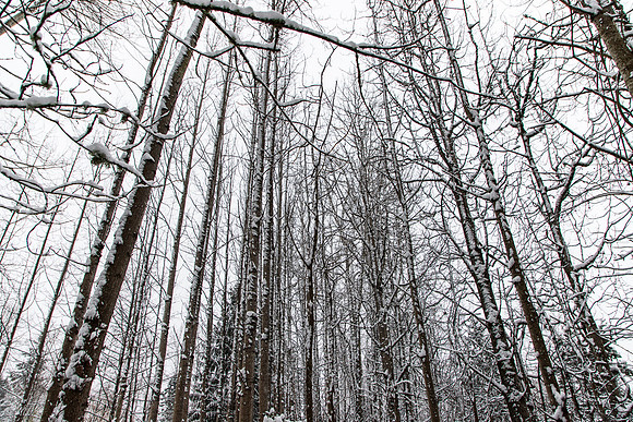 Winter 2019-5952
