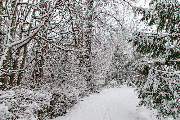 Winter 2019-5964
