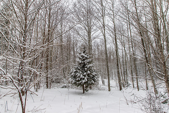 Winter 2019-5977