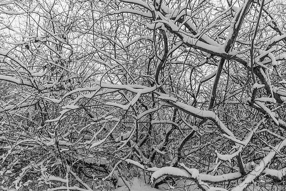 Winter 2019-5980