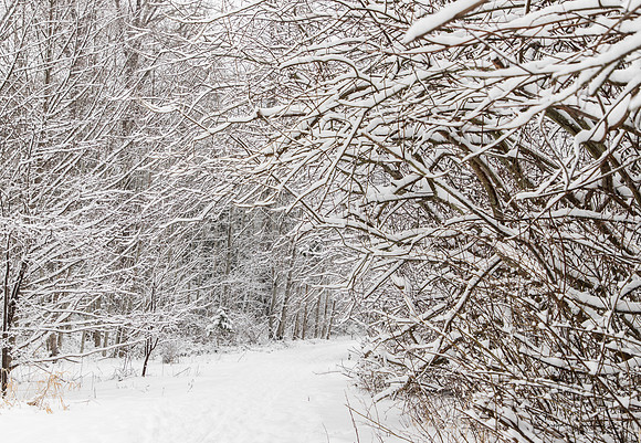 Winter 2019-5988