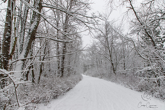 Winter 2019-6004