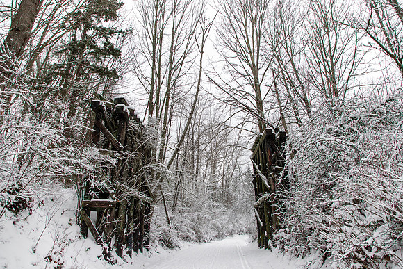 Winter 2019-6008