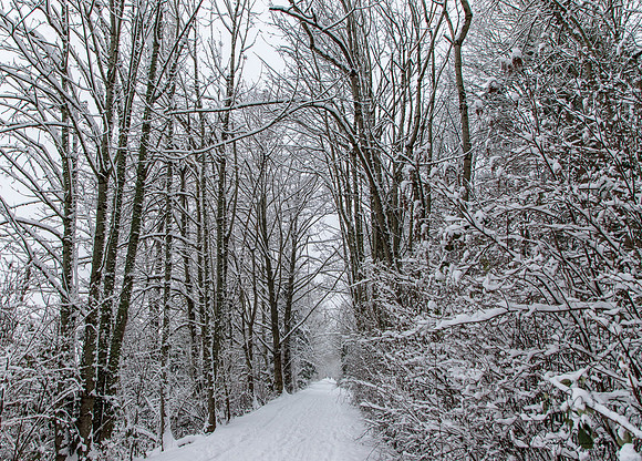 Winter 2019-6065
