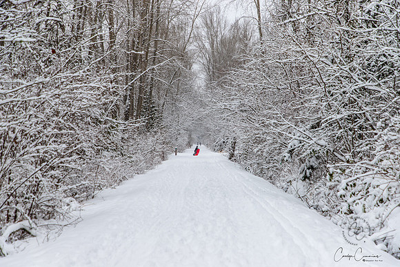 Winter 2019-6075