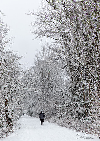 Winter 2019-6090
