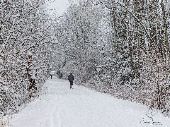 Winter 2019-6091
