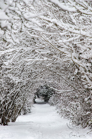 Winter 2019-6109