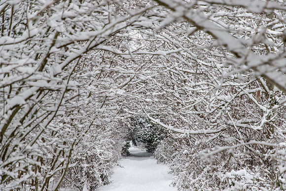 Winter 2019-6112