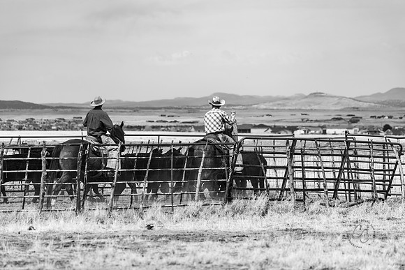 Roundup March 2025-7430