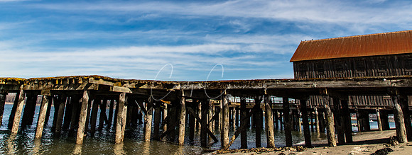 Semiahmoo March 2019-6606