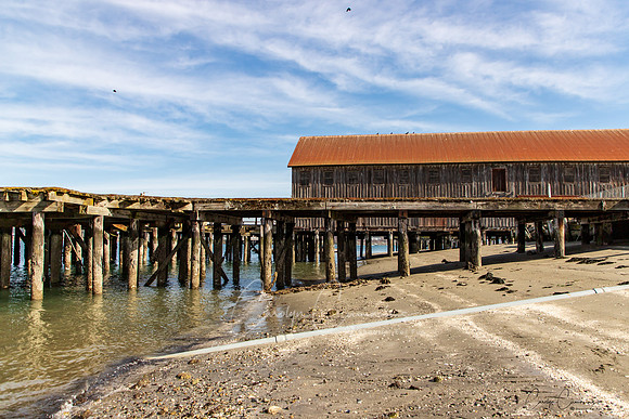 Semiahmoo March 2019-6578