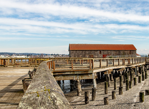 Semiahmoo March 2019-6617