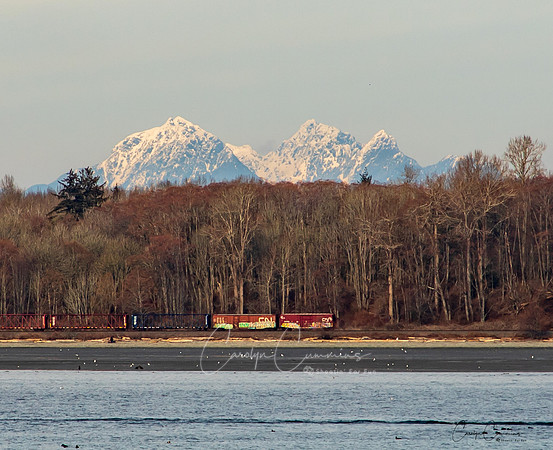 Semiahmoo March 2019-6635