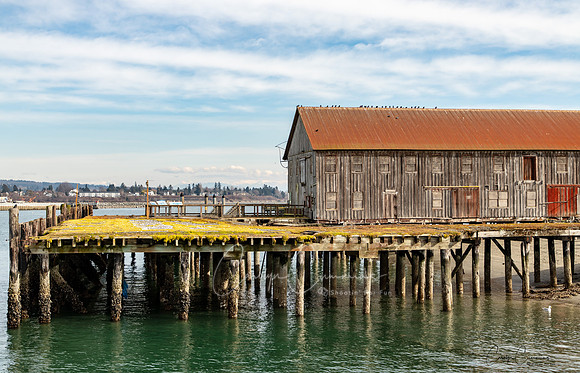 Semiahmoo March 2019-6637