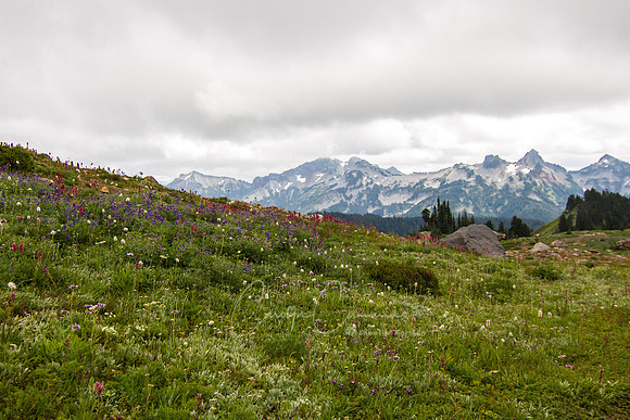 Mt. Rainier-7439