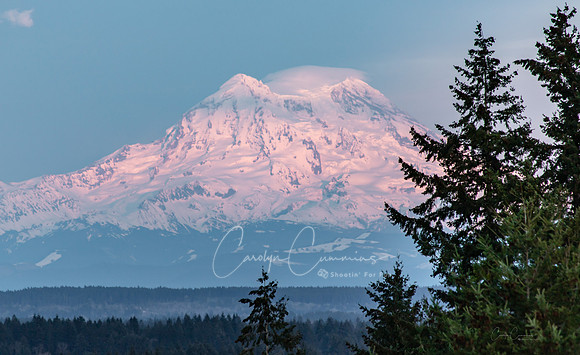 Mt. Rainier March 2019-7071
