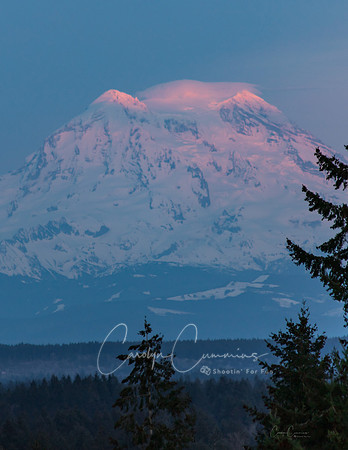 Mt. Rainier March 2019-7073