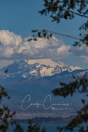 Mt. Erie Lookout Anacortes March 2019--7541