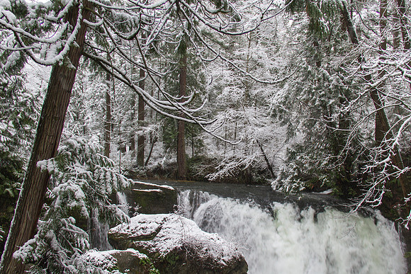 Whatcom Falls  Dec 2016-7087