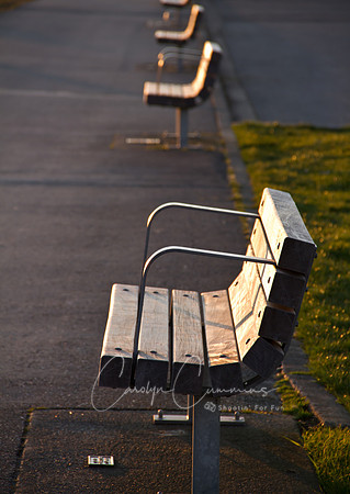 Zuanich Park-5145