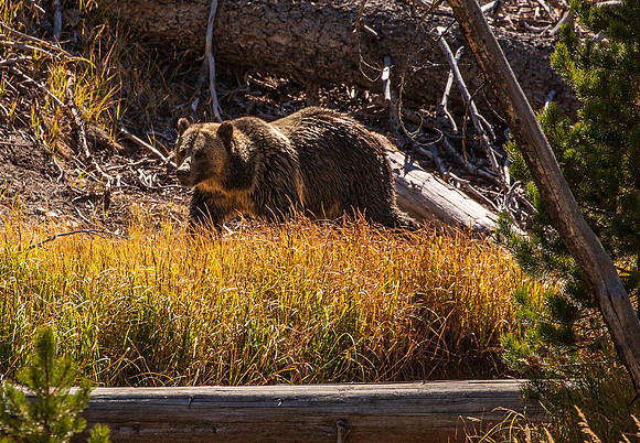 Wyoming September 2021-2744