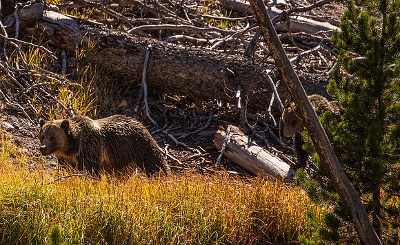 Wyoming September 2021-2745