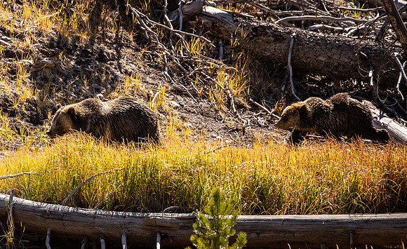 Wyoming September 2021-2747