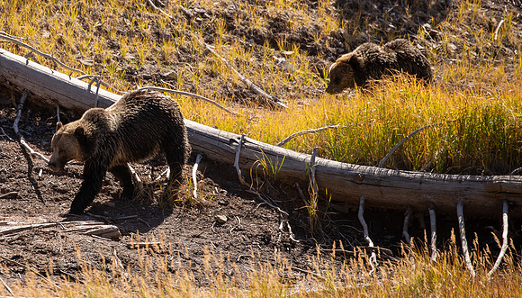 Wyoming September 2021-2751