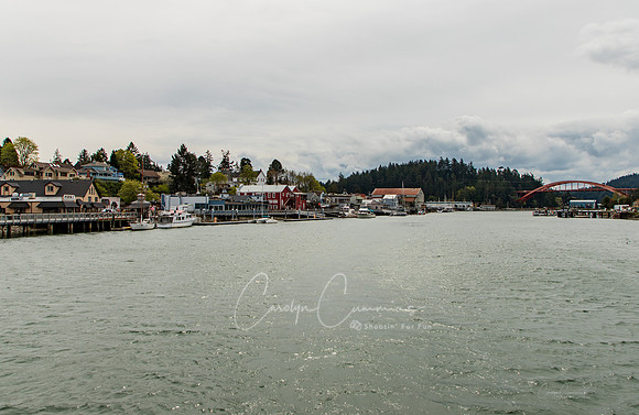 LaConner WA April 2019-8158
