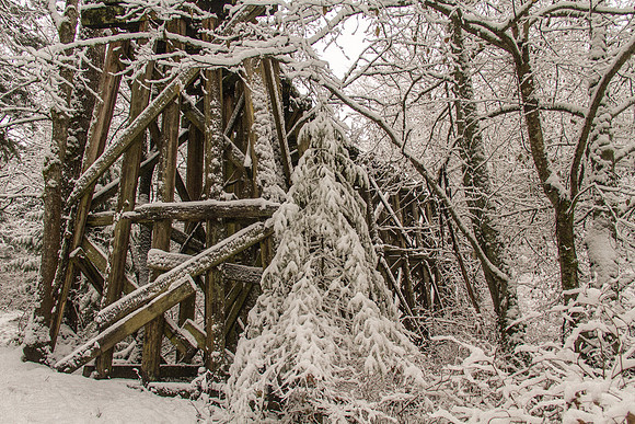 Whatcom Falls  Dec 2016-7151
