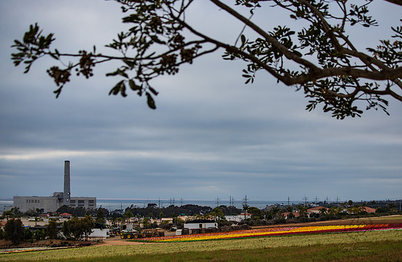 Carlsbad CA April 2019-8528
