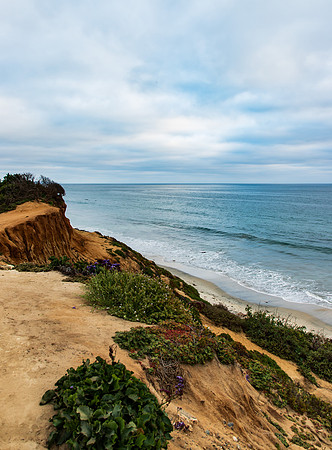 Carlsbad CA April 2019-8548
