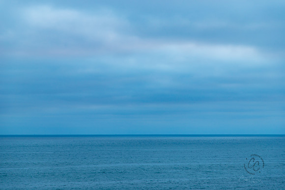 Carlsbad CA April 2019-8616