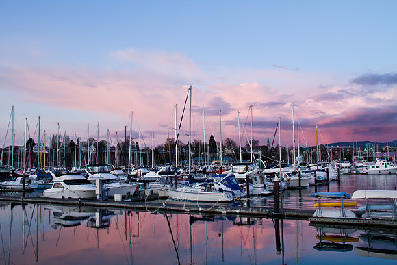 Zuanich Marina-5160