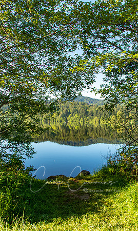 Lake Padden May 2019-9269