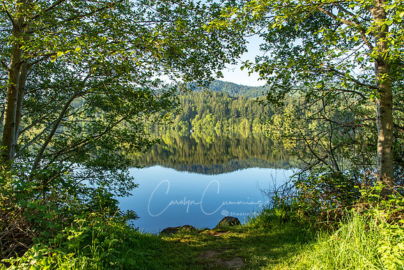 Lake Padden May 2019-9266
