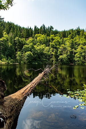 Fragrance Lake July 2019-3070