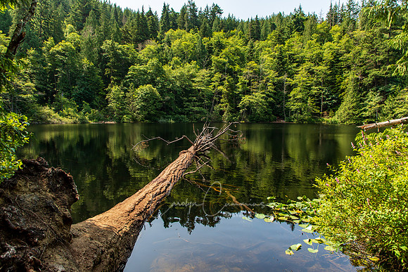 Fragrance Lake July 2019-3069
