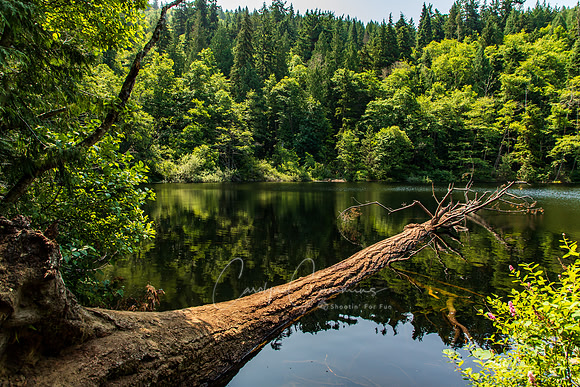 Fragrance Lake July 2019-3072