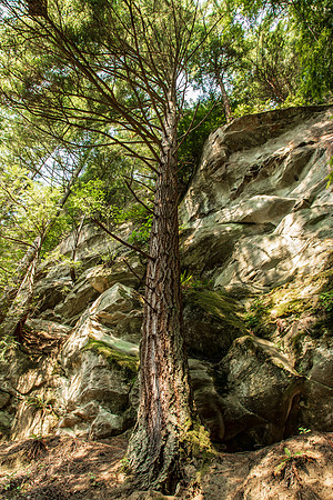Fragrance Lake July 2019-3081