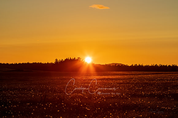 San Juan Island Sunset July 2019-3374