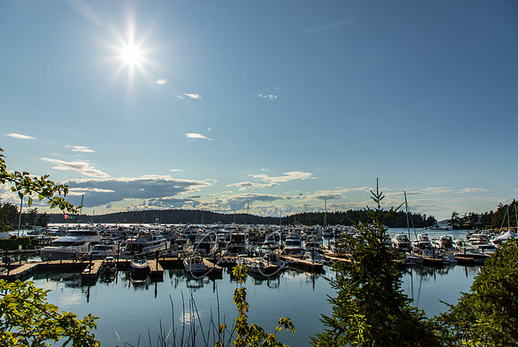 San Juan Island July 2019-3679