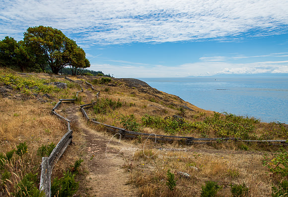 San Juan Island July 2019-3560