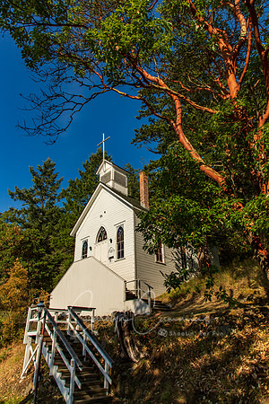 San Juan Island July 2019-3677