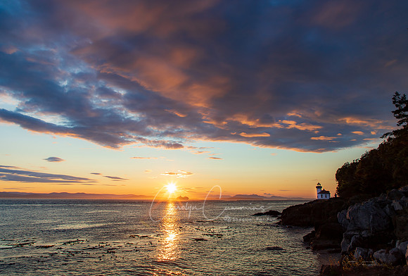 San Juan Island July 2019-3820
