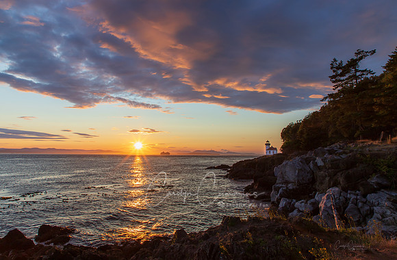 San Juan Island July 2019-3827