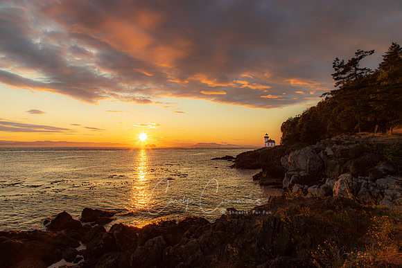 San Juan Island July 2019-3819